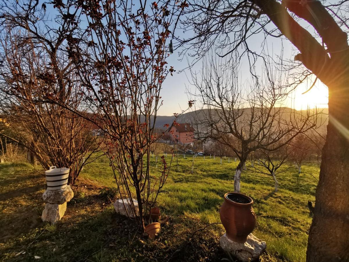 Chalet Belino Sokace Užice Εξωτερικό φωτογραφία