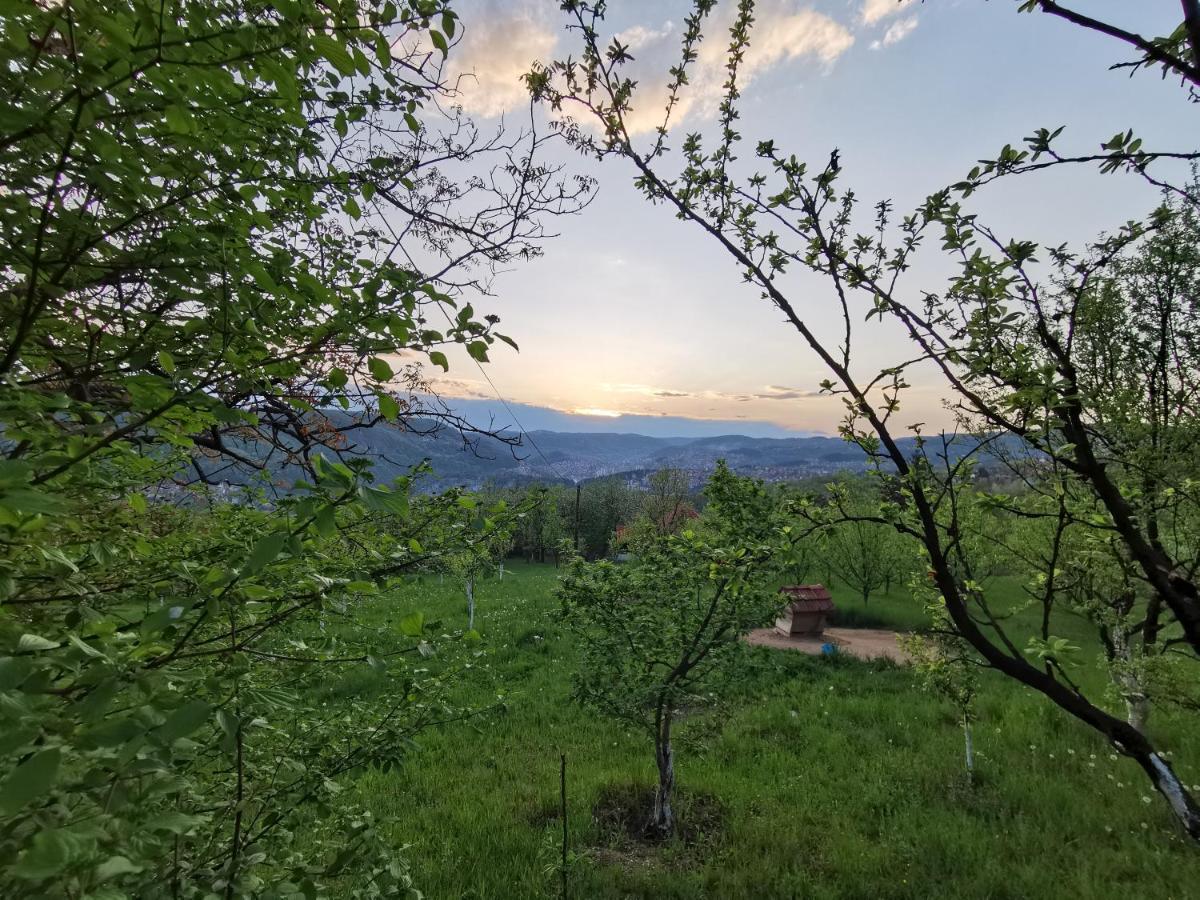 Chalet Belino Sokace Užice Εξωτερικό φωτογραφία